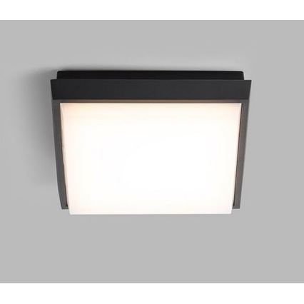 LED2 - LED-ulkokattovalaisin QUADO LED/10W/230V antrasiitti IP54