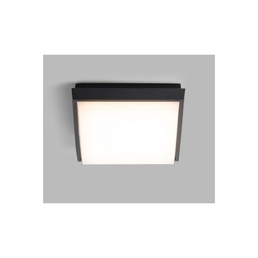 LED2 - LED-ulkokattovalaisin QUADO LED/10W/230V antrasiitti IP54
