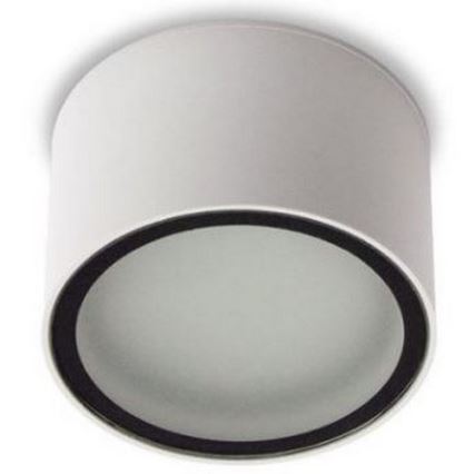 LED2 - Ulkovalaisin MEDO 1xGX53/11W/230V valkoinen IP54
