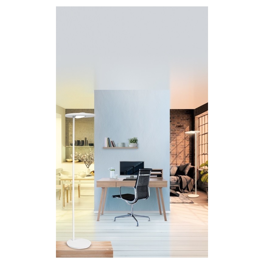Ledvance - LED Himmennettävä lattialamppu SUN@HOME LED/36W/230V 2200-5000K CRI 95 Wi-Fi