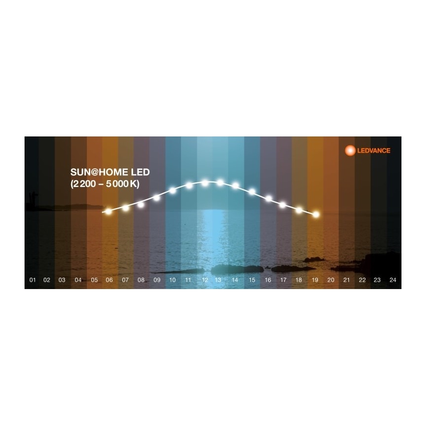 Ledvance - LED Himmennettävä lattialamppu SUN@HOME LED/36W/230V 2200-5000K CRI 95 Wi-Fi