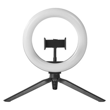 Ledvance - Himmennettävä LED-pöytävalaisin telineen kanssa ja pidike vloggaamiseen LED/5,5W/USB 3000/4000/6500K