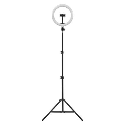 Ledvance - Himmennettävä LED-lattiavalaisin telineen kanssa ja pidike vloggaamiseen LED/6W/USB 3000/4000/6500K