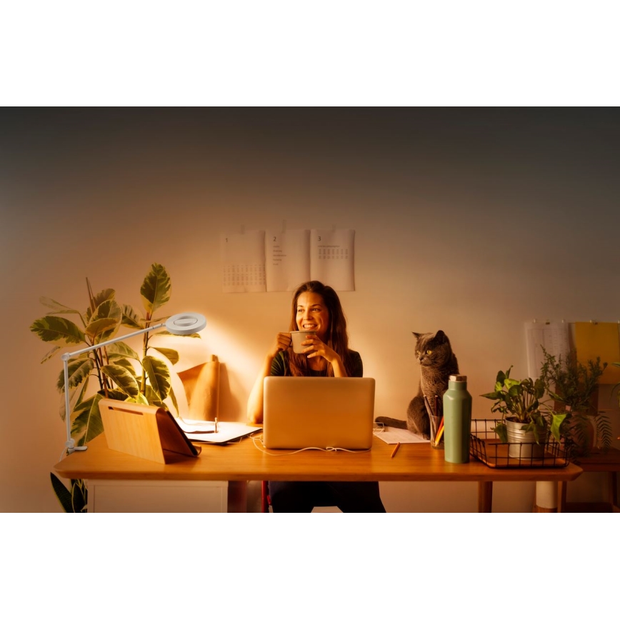 Ledvance - LED-himmennyslamppu pidikkeellä SUN@HOME LED/15W/230V 2200-5000K CRI 95 Wi-Fi