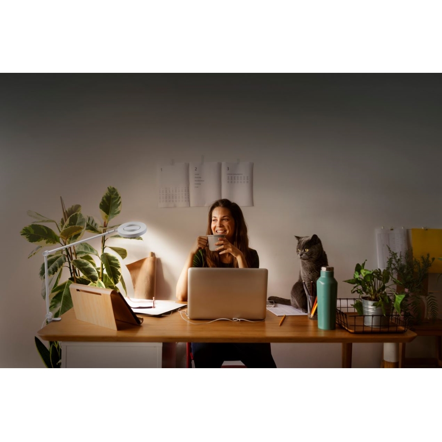 Ledvance - LED-himmennyslamppu pidikkeellä SUN@HOME LED/15W/230V 2200-5000K CRI 95 Wi-Fi
