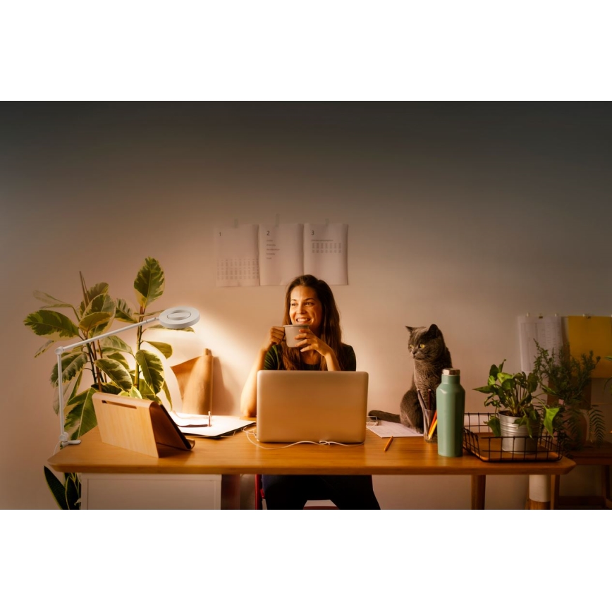 Ledvance - LED-himmennyslamppu pidikkeellä SUN@HOME LED/15W/230V 2200-5000K CRI 95 Wi-Fi
