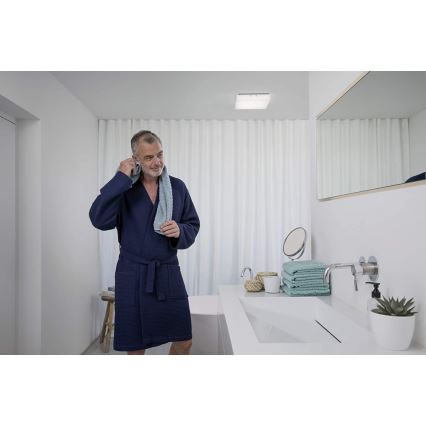 Ledvance - LED-kattovalaisin LUNIVE LED/19W/230V