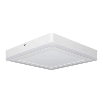 Ledvance - LED-kattovalaisin SQUARE LED / 18W / 230V