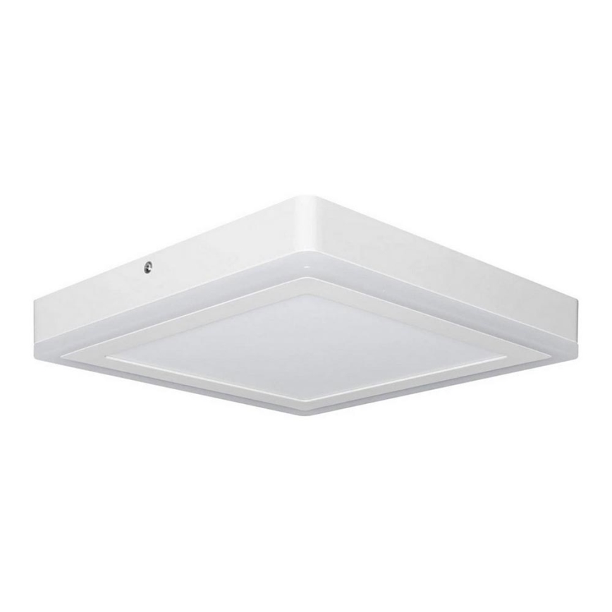 Ledvance - LED-kattovalaisin SQUARE LED / 18W / 230V