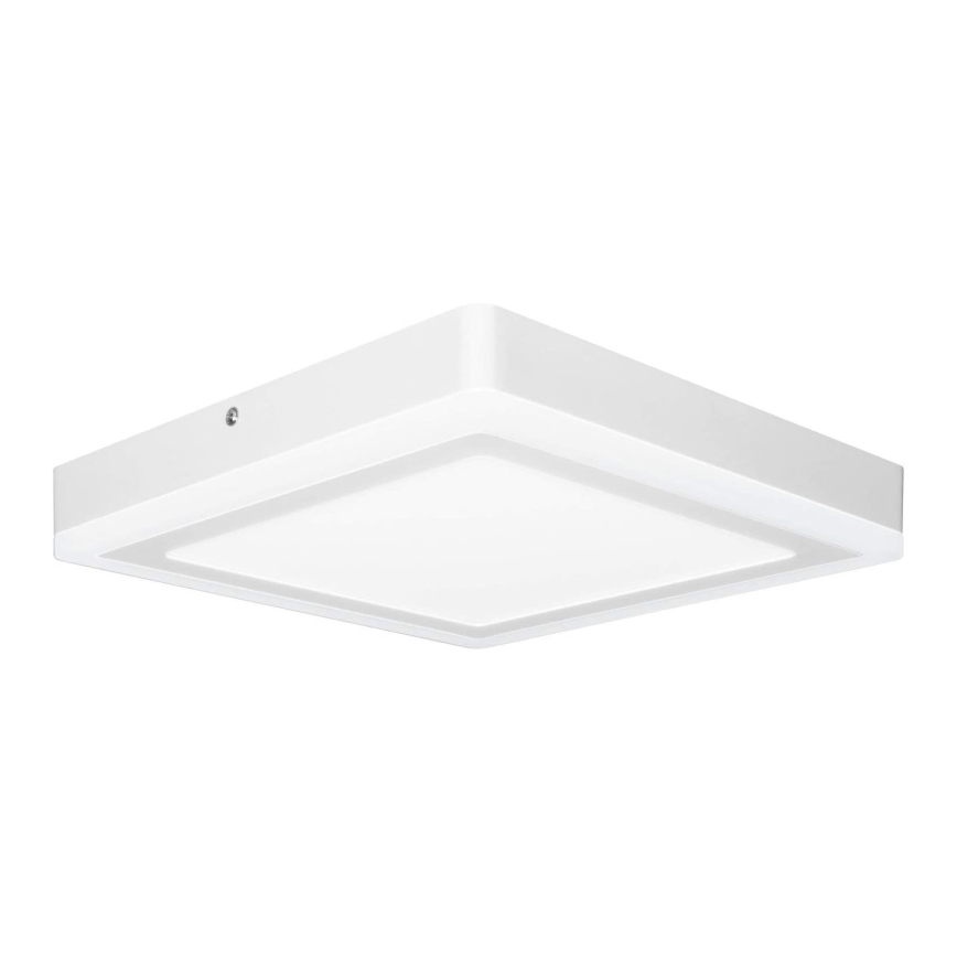 Ledvance - LED-kattovalaisin SQUARE LED / 18W / 230V
