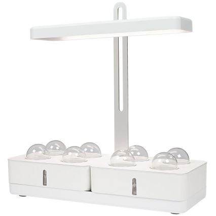 LLedvance - LED sisätila kasvivalaisin GARDEN KIT LED/24W/230V