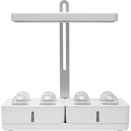 LLedvance - LED sisätila kasvivalaisin GARDEN KIT LED/24W/230V