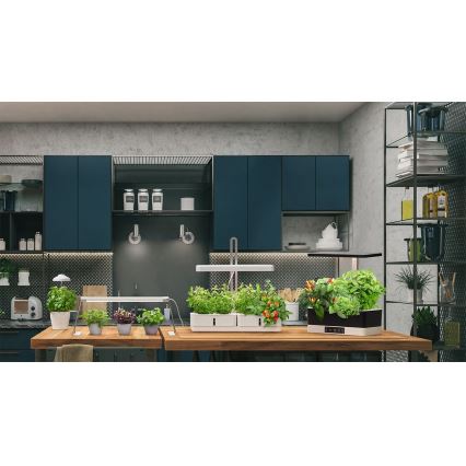 LLedvance - LED sisätila kasvivalaisin GARDEN KIT LED/24W/230V