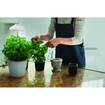 Ledvance - LED sisätila kasvivalaisin GARDEN LIGHT LED/5W/5V