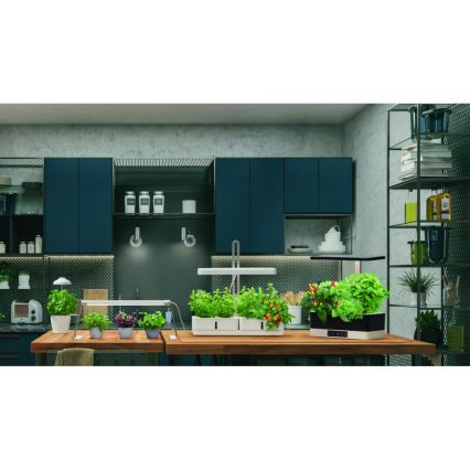 Ledvance - LED sisätila kasvivalaisin GARDEN LIGHT LED/5W/5V