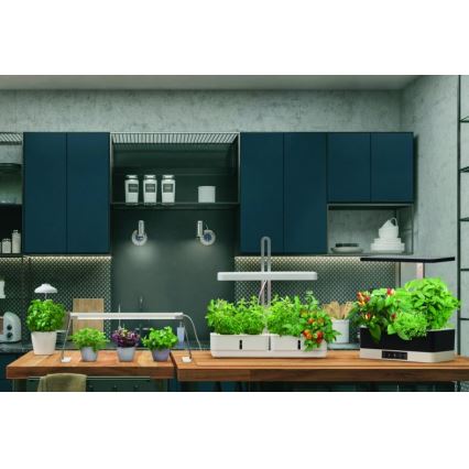 Ledvance - LED sisätilojen kasvivalaisin GARDEN LIGHT LED/14W/230V