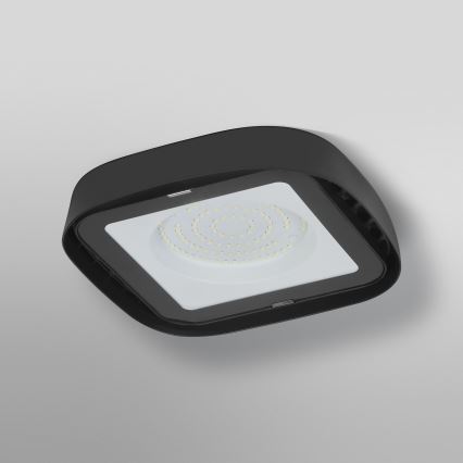 Ledvance - LED-teollisuuskattovalaisin HIGHBAY LED/80W/230V IP65 6500K