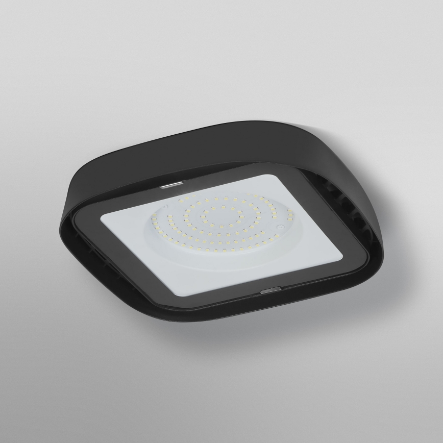 Ledvance - LED-teollisuuskattovalaisin HIGHBAY LED/80W/230V IP65 6500K