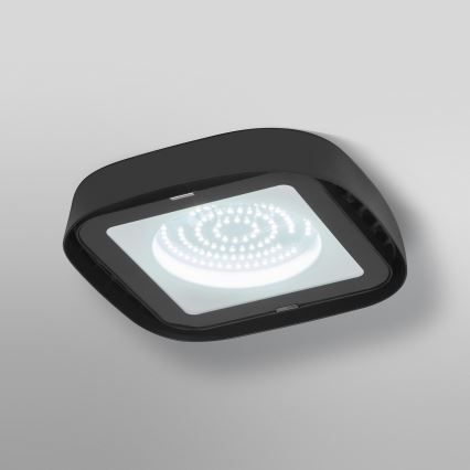 Ledvance - LED-teollisuuskattovalaisin HIGHBAY LED/80W/230V IP65 6500K