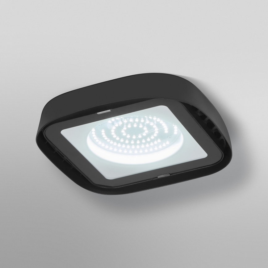 Ledvance - LED-teollisuuskattovalaisin HIGHBAY LED/80W/230V IP65 6500K