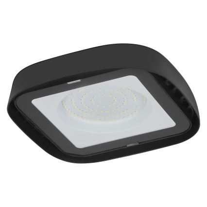 Ledvance - LED-teollisuuskattovalaisin HIGHBAY LED/80W/230V IP65 6500K