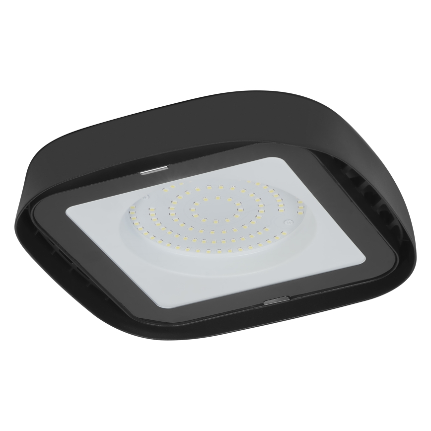 Ledvance - LED-teollisuuskattovalaisin HIGHBAY LED/80W/230V IP65 6500K