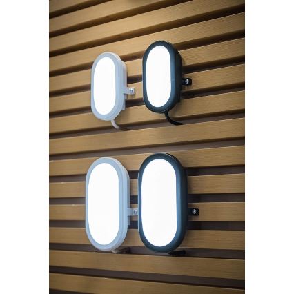Ledvance - LED-ulkoseinävalaisin BULKHEAD LED/11W/230V IP54 musta