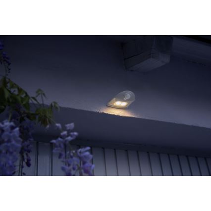 Ledvance - LED Ulkovalo anturilla DOORLED LED/1W/3xAA IP54