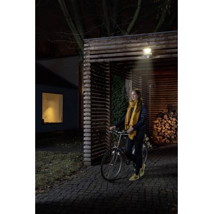 Ledvance - LED-valonheitin anturilla ENDURA LED/50W/230V IP44