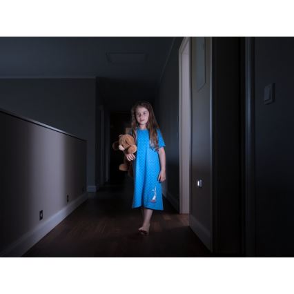 Ledvance - LED-yövalo anturilla NIGHTLUX LED/0,25W/3xAAA