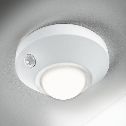 Ledvance - LED-yövalo anturilla NIGHTLUX LED/1,7W/3xAA 4000K