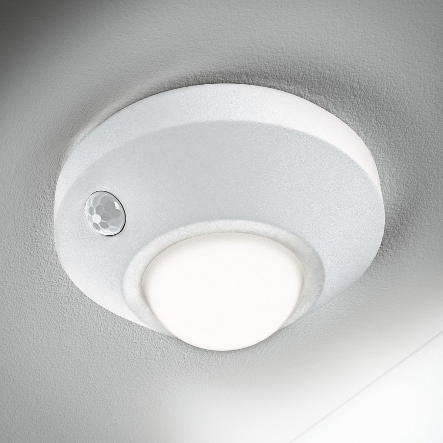 Ledvance - LED-yövalo anturilla NIGHTLUX LED/1,7W/3xAA 4000K