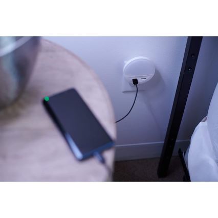 Ledvance - LED-yövalo pistorasiaan anturilla LUNETTA 2xUSB LED / 13W / 230V