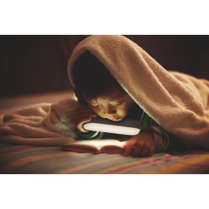 Ledvance - LED-huonekalovalo mobiililla, LED/1,2W/5V 500 mAh 4000K