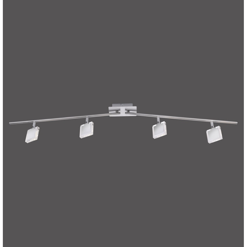 Leuchten Direkt 11084-55 - LED-kohdevalaisin TONY 4xLED/4W/230V