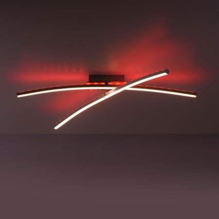 Leuchten Direkt 11255-55 - LED RGB Himmennettävä pinta-asennettava kattokruunu ALINA 2xLED/8,1W/230V 2700-5000K + kauko-ohjain