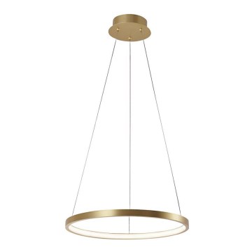 Leuchten Direkt 11522-12 - LED-kattokruunu narussa CIRCLE LED/19W/230V