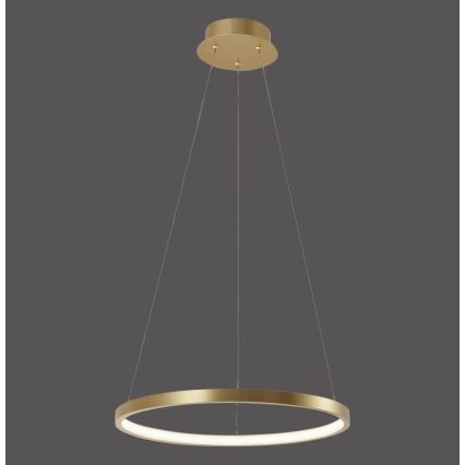 Leuchten Direkt 11522-12 - LED-kattokruunu narussa CIRCLE LED/19W/230V