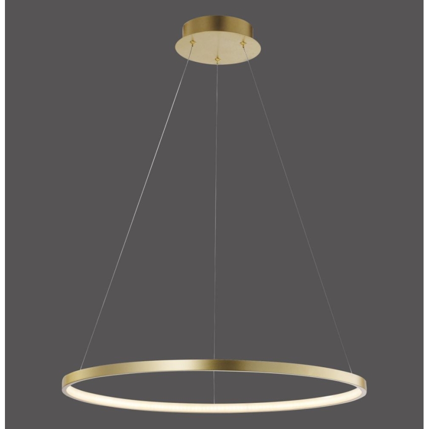 Leuchten Direkt 11524-12 - LED-kattokruunu narussa CIRCLE LED/28,5W/230V
