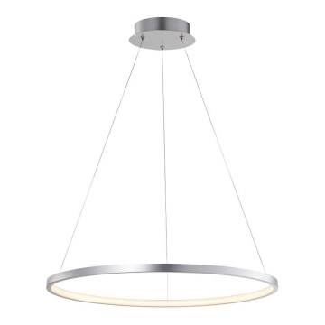 Leuchten Direkt 11524-21 - LED-kattokruunu narussa CIRCLE LED/28,5W/230V