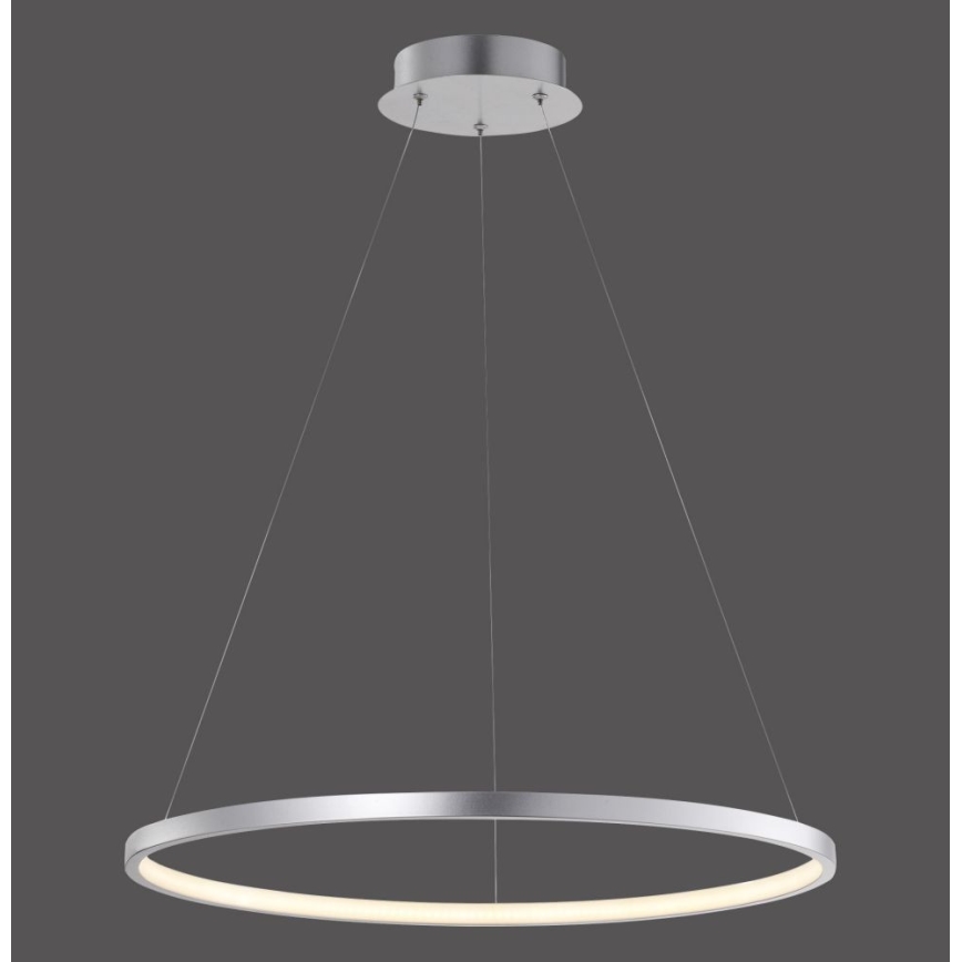 Leuchten Direkt 11524-21 - LED-kattokruunu narussa CIRCLE LED/28,5W/230V