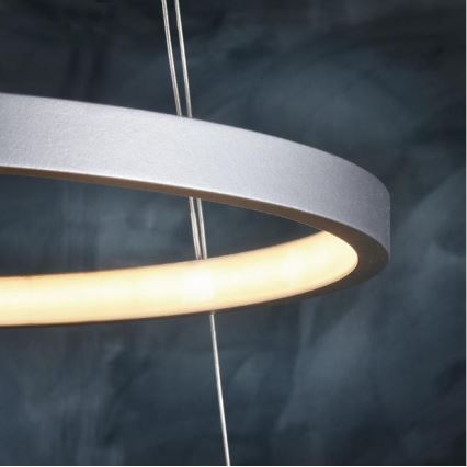 Leuchten Direkt 11525-21 - LED-kattokruunu narussa CIRCLE 1xLED/15W/230V + LED/25W
