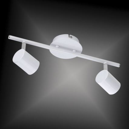 Leuchten Direkt 11942-16 - LED-kohdevalo TARIK 2xGU10/5W/230V valkoinen