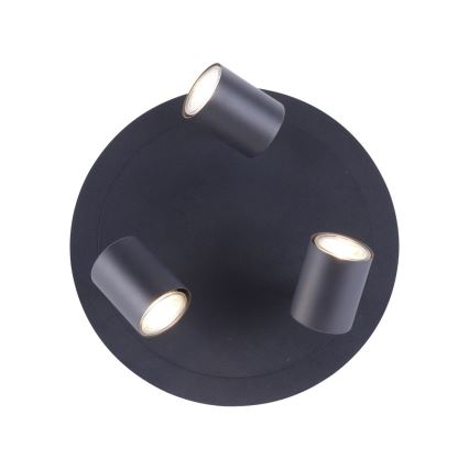 Leuchten Direkt 11943-13 - LED-kohdevalo ARIK 3xGU10/5W/230V antrasiitti