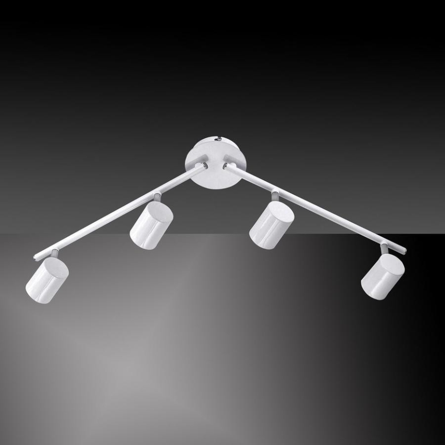 Leuchten Direkt 11944-16 - LED-kohdevalo TARIK 4xGU10/5W/230V valkoinen