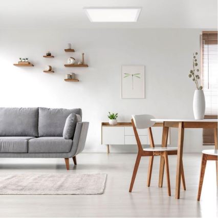 Leuchten Direkt 12201-16 - LED-kattovalo FLAT LED/22W/230V