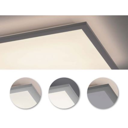 Leuchten Direkt 12204-16 - LED Pinta-asennettava paneeli FLAT LED/24W/230V