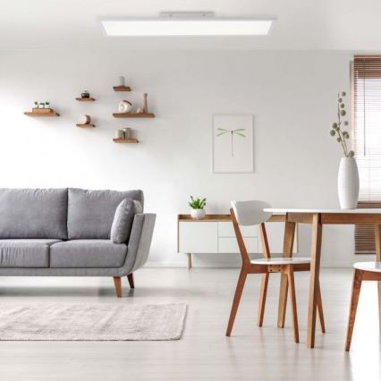 Leuchten Direkt 12204-16 - LED Pinta-asennettava paneeli FLAT LED/24W/230V