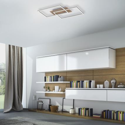 Leuchten Direkt 14018-78 - Himmennettävä LED-kattovalaisin IVEN 2xLED/15W/230V tammi + kauko-ohjaus