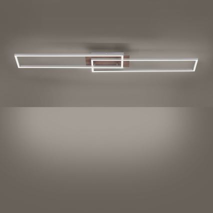 Leuchten Direkt 14019-78 - Himmennettävä LED-kattovalaisin IVEN 2xLED/20W/230V + kauko-ohjaus